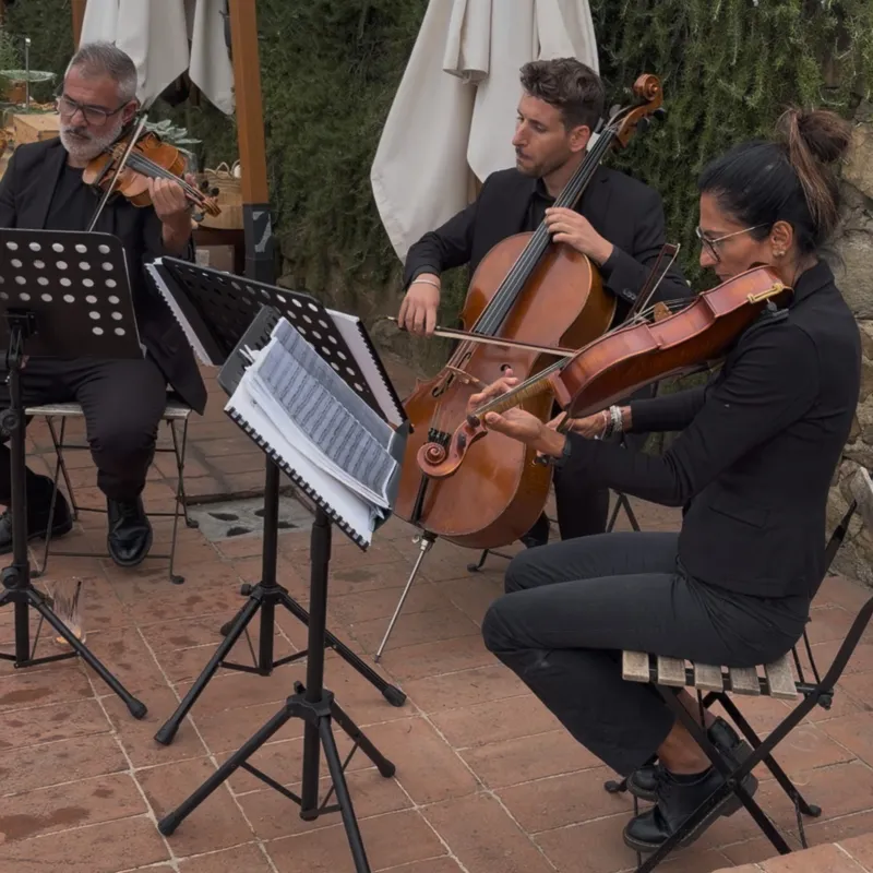 Strings in the garden